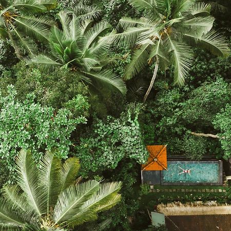 The Nest In Ubud, Bembengan Cottage Eksteriør billede