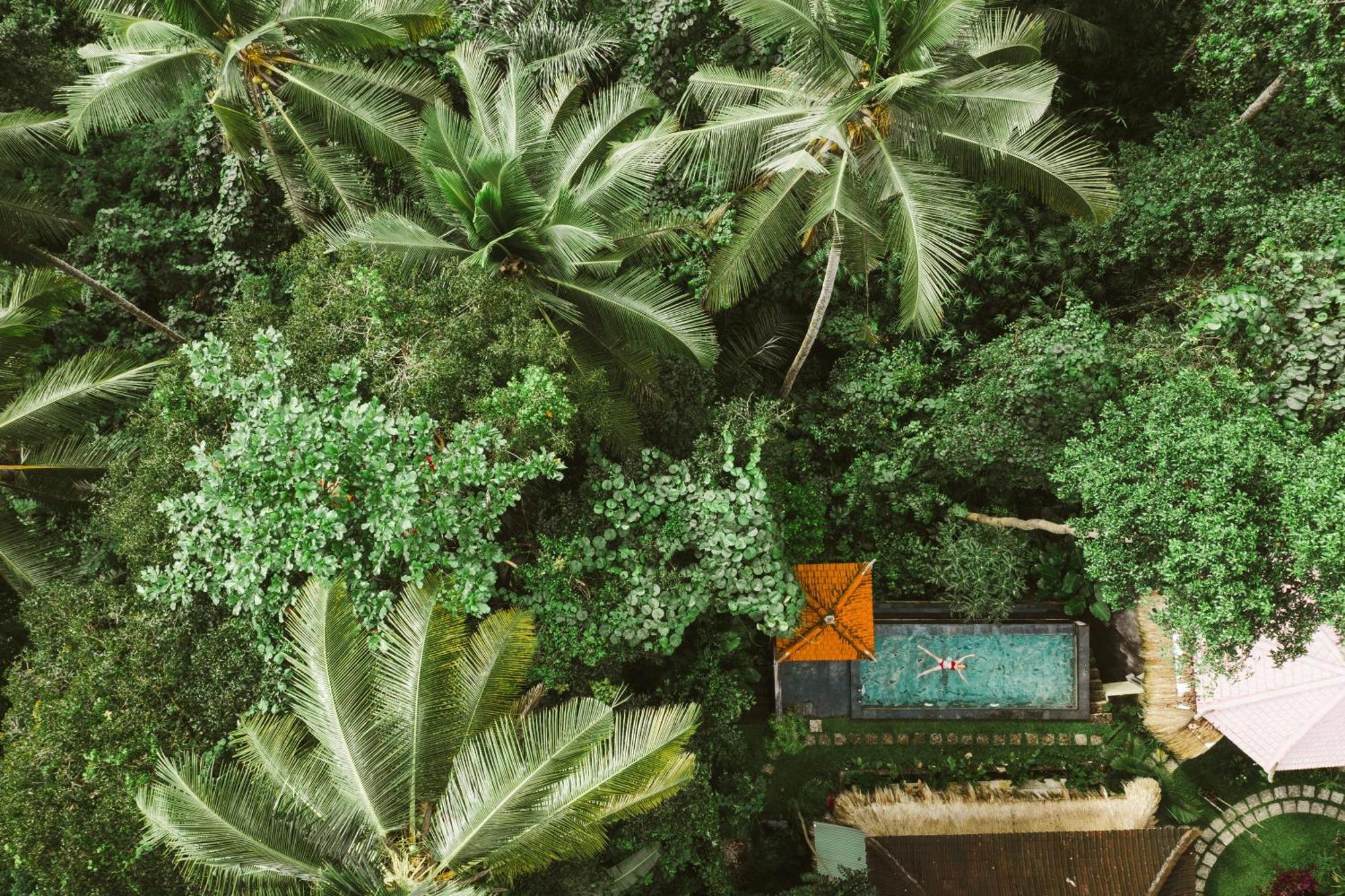 The Nest In Ubud, Bembengan Cottage Eksteriør billede
