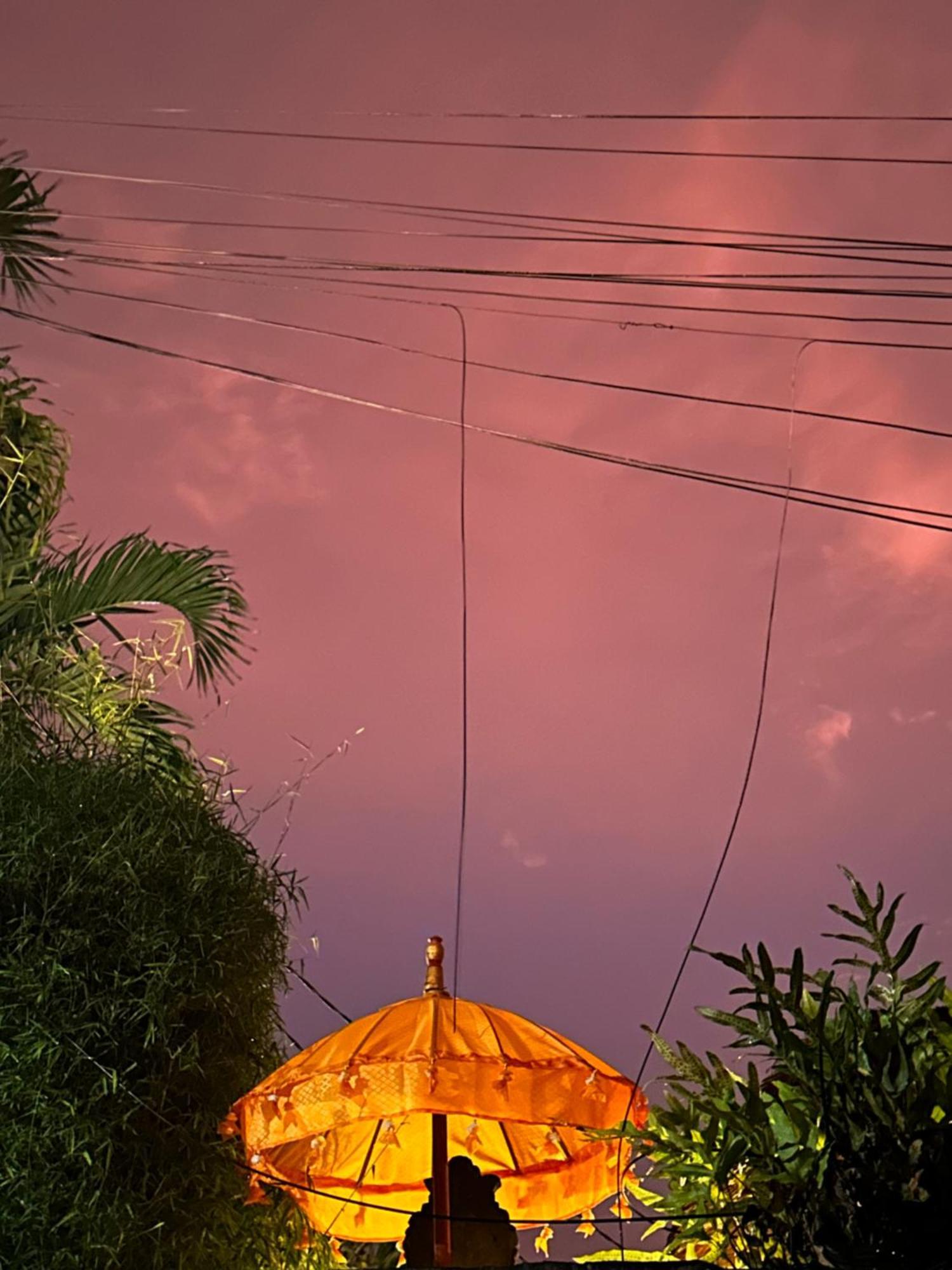The Nest In Ubud, Bembengan Cottage Eksteriør billede
